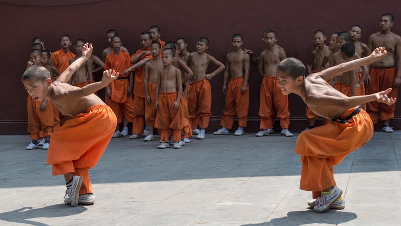 Kung Fu Pose